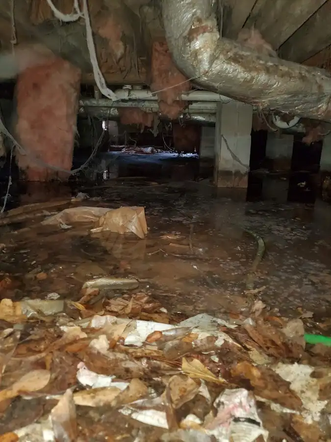 Crawl space flood assessment for Leak Detection & Repair in Lehman