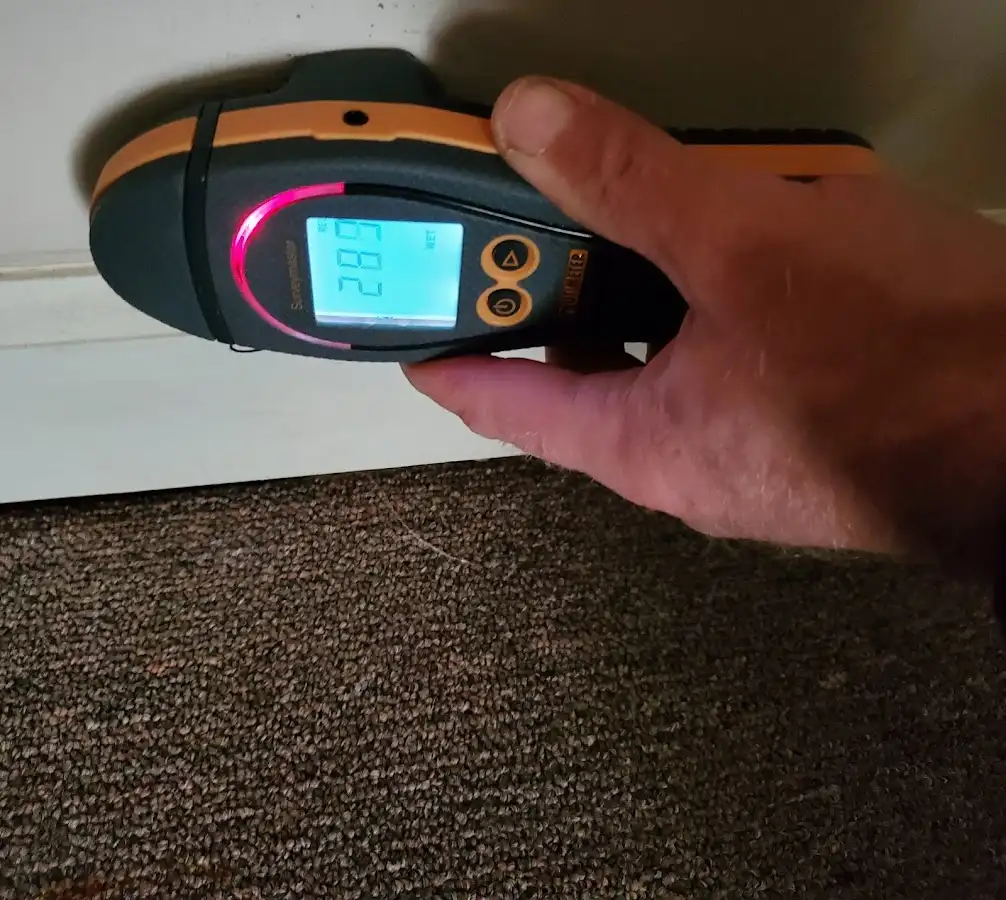 Moisture detection at baseboard during Sewage Cleanup & Sanitation in Lehman